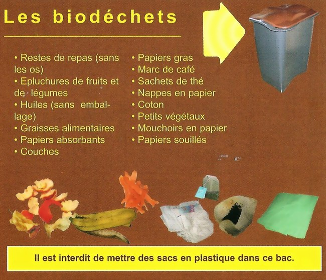 bio dchets